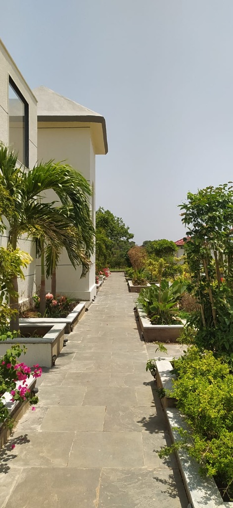 Scenic Garden Path